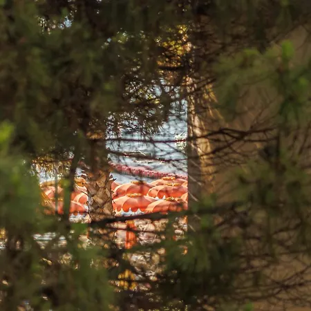 Summer Vibes アパート *