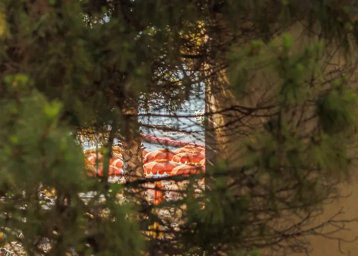 Summer Vibes Apartment *