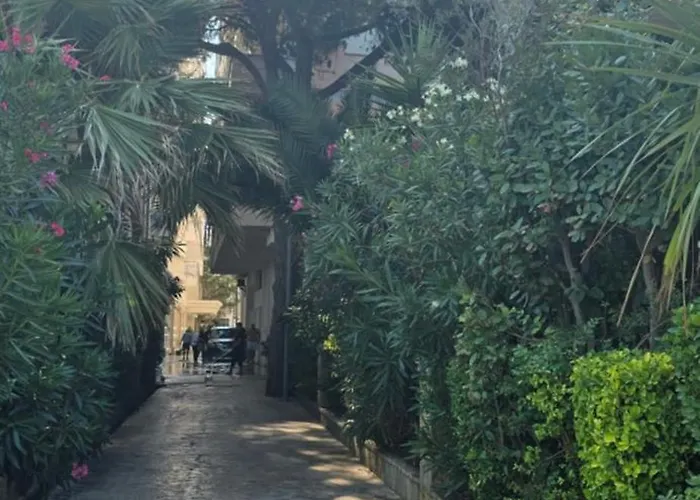 Summer Vibes 格勒姆