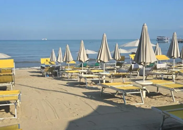 Summer Vibes * 格勒姆